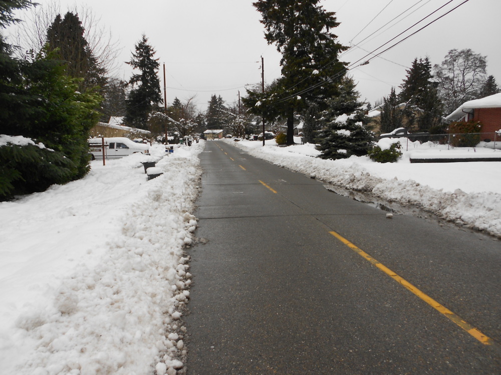 Looking down our snow-covered street